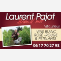 Laurent Pajot